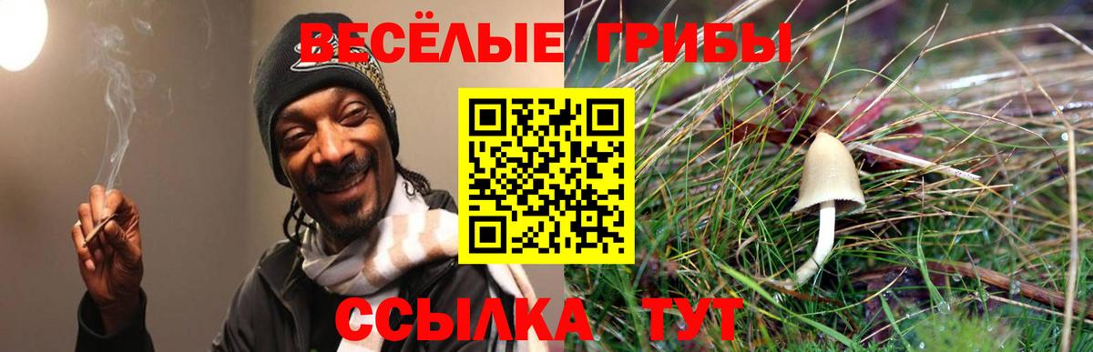 Галлюциногенные грибы MAGIC MUSHROOMS Борисоглебск