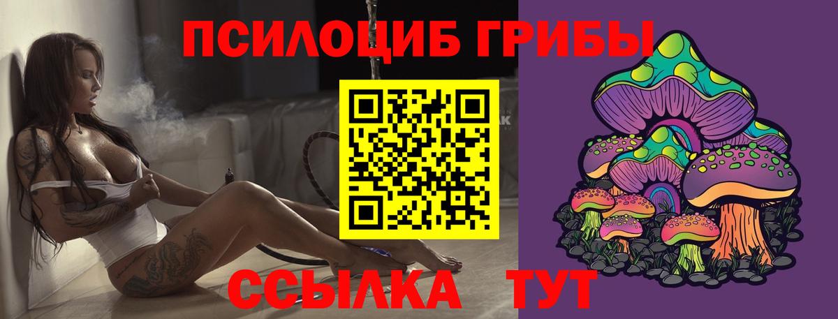 Галлюциногенные грибы мухоморы  Галлюциногенные грибы мицелий  Борисоглебск  Вход с VPN 